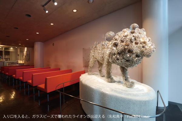 オルソクリニック銀座（東京都中央区）