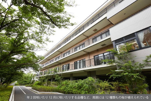 東京さくら病院（東京都江戸川区）