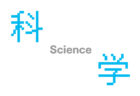 科学　集中出版