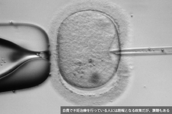 保険適用に馴染まない「オーダーメイド」の不妊治療