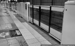 第17回「精神医療ダークサイド」最新事情　自殺に「意志的な死」は稀